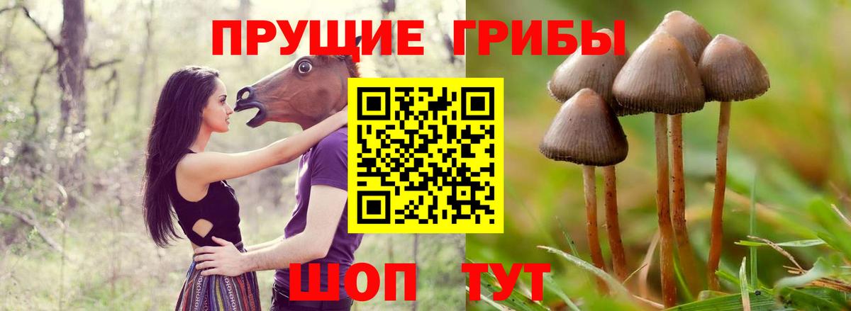 Фурманов  Псилоцибиновые грибы MAGIC MUSHROOMS  наркошоп  Вход с VPN 