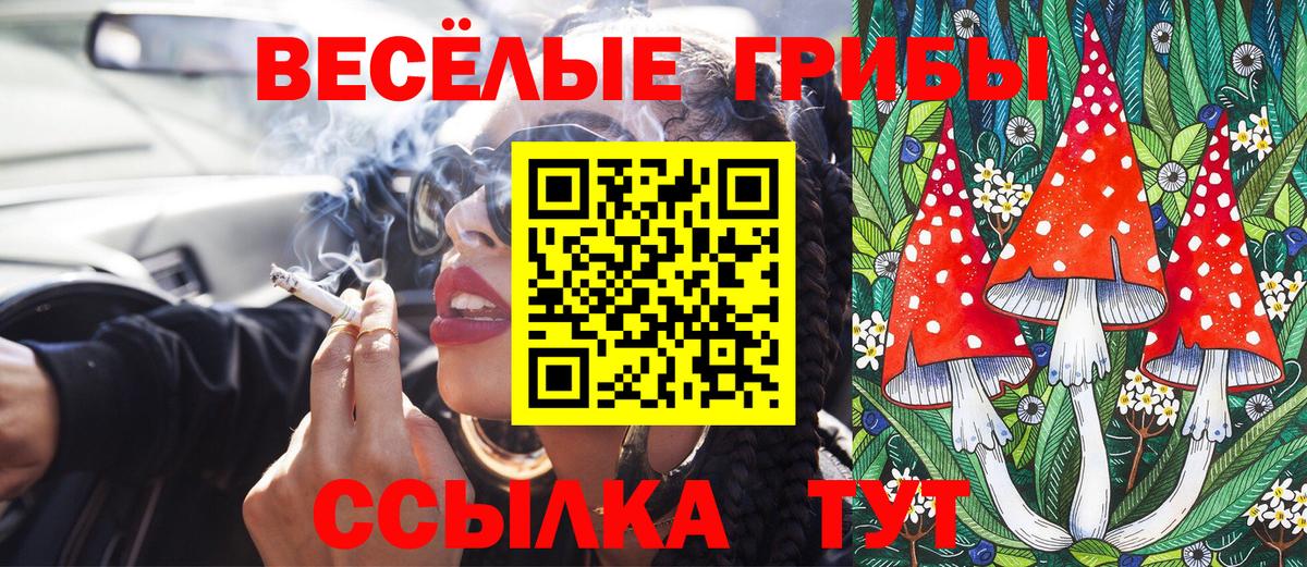 Псилоцибиновые грибы Psilocybine cubensis Фурманов